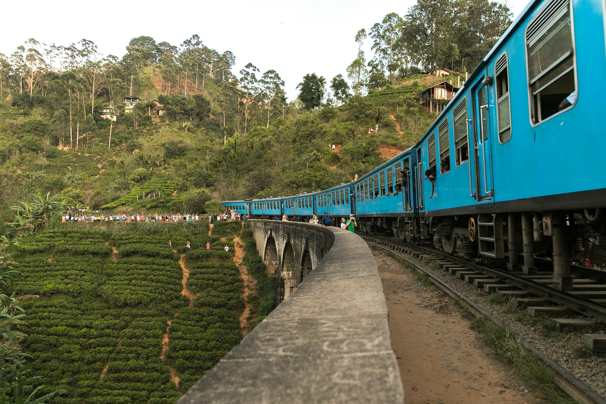 A blue train crossing a viaduct above green tea slopes