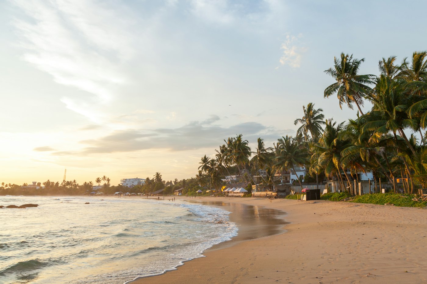 Palm trees leaning over a quiet tropical beach