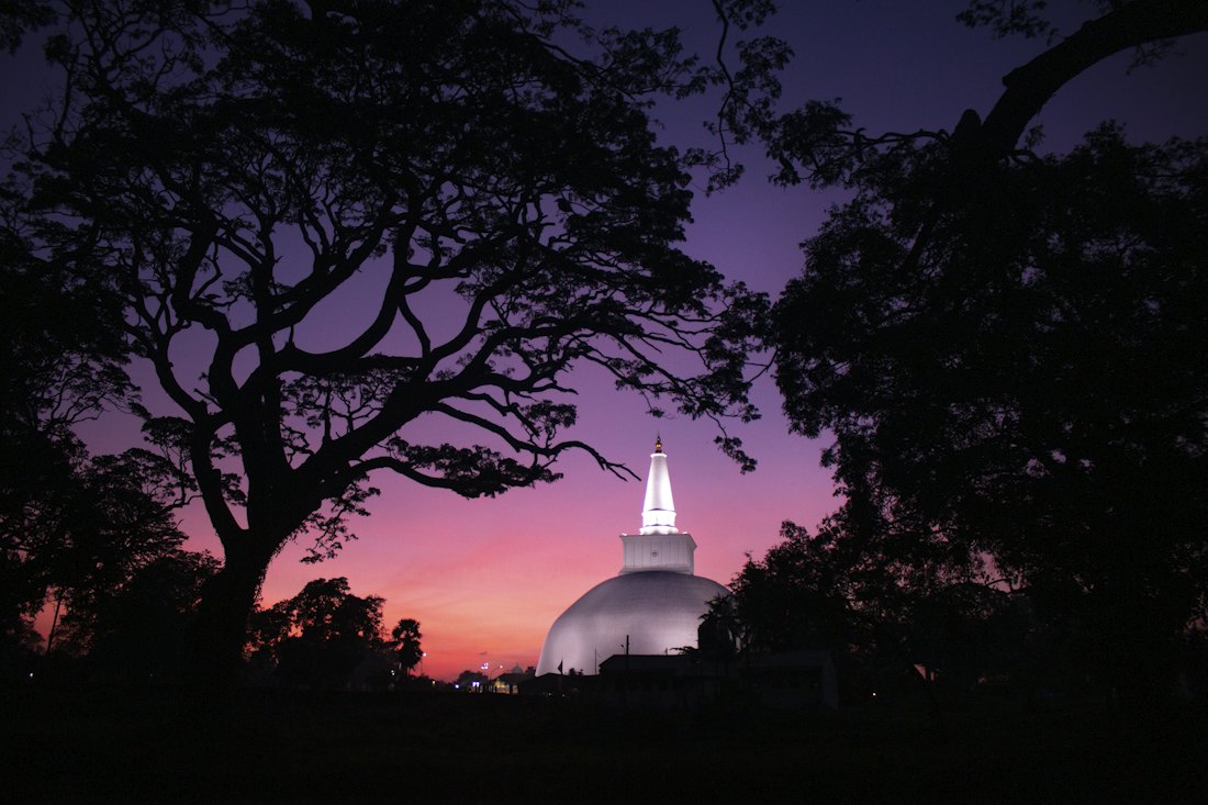 A white stupa rising above the trees at Anuradhapura